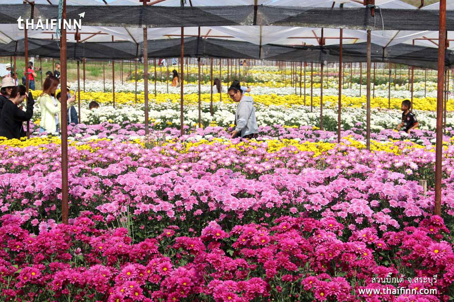 สวนบิ๊กเต้ จังหวัดสระบุรี สวนบิ๊กเต้ จังหวัดสระบุรี)