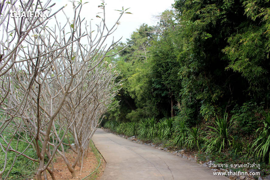 ถ้ำผาเจาะ จังหวัดหนองบัวลำภู ถ้ำผาเจาะ จังหวัดหนองบัวลำภู)