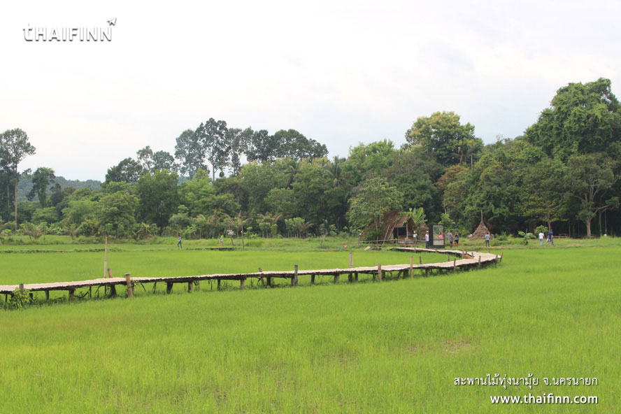 สะพานไม้ทุ่งนามุ้ย จังหวัดนครนายก)