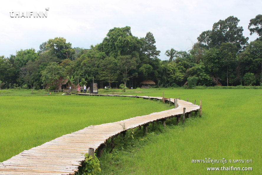 สะพานไม้ทุ่งนามุ้ย จังหวัดนครนายก
