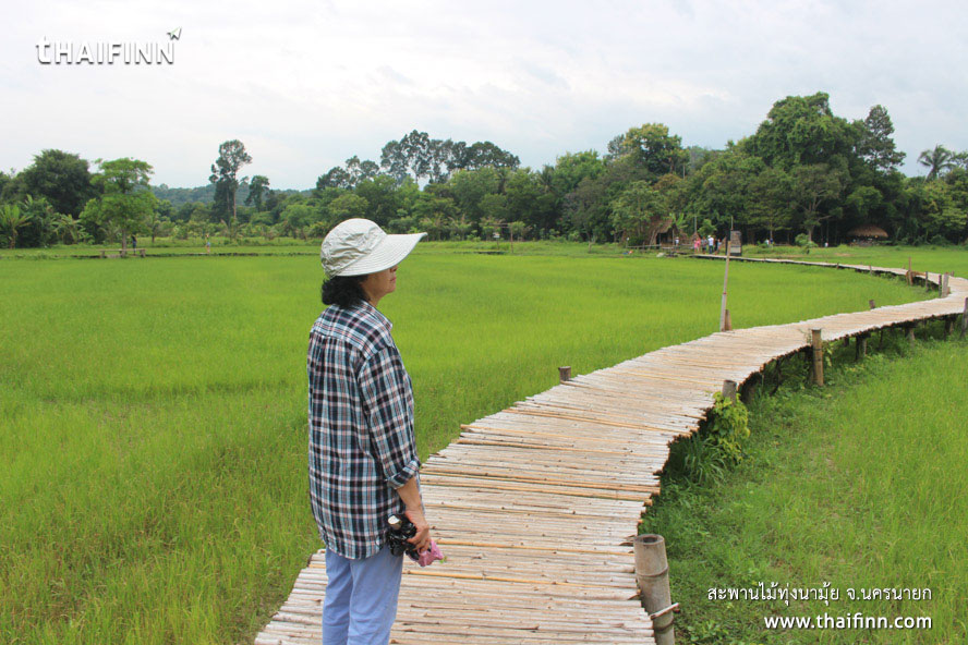 สะพานไม้ทุ่งนามุ้ย จังหวัดนครนายก)