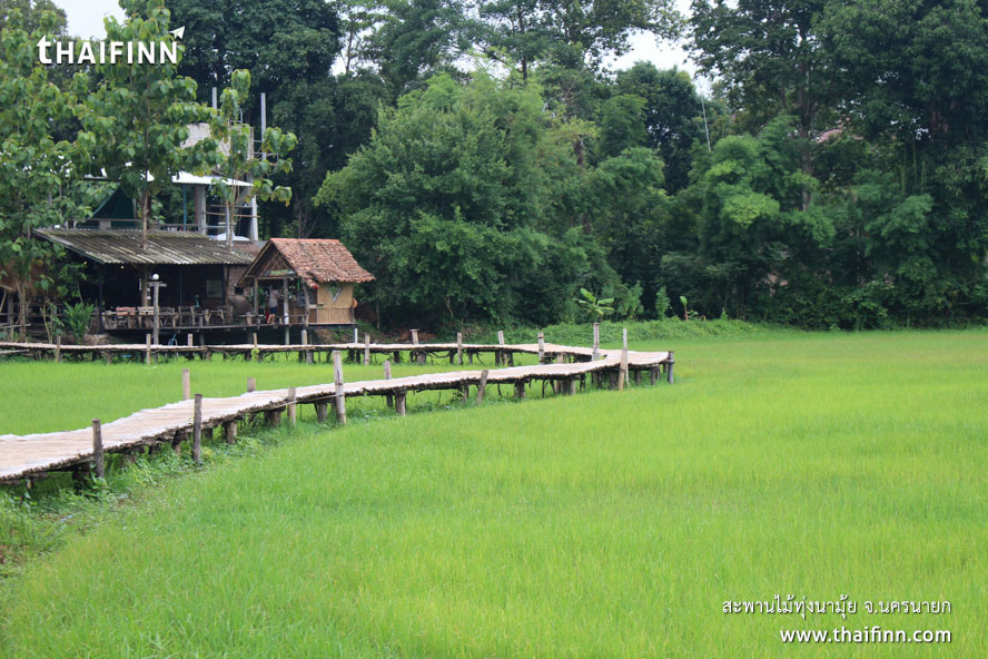 สะพานไม้ทุ่งนามุ้ย จังหวัดนครนายก)