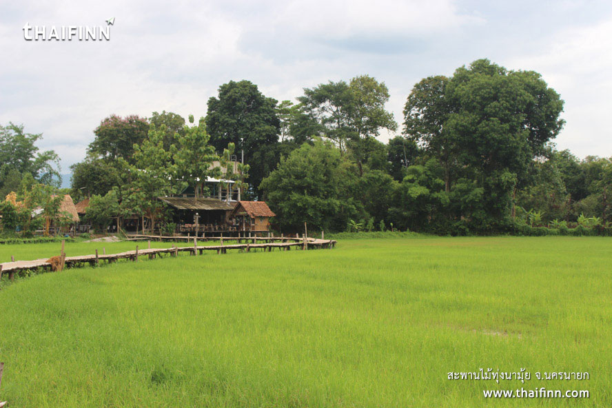 สะพานไม้ทุ่งนามุ้ย จังหวัดนครนายก