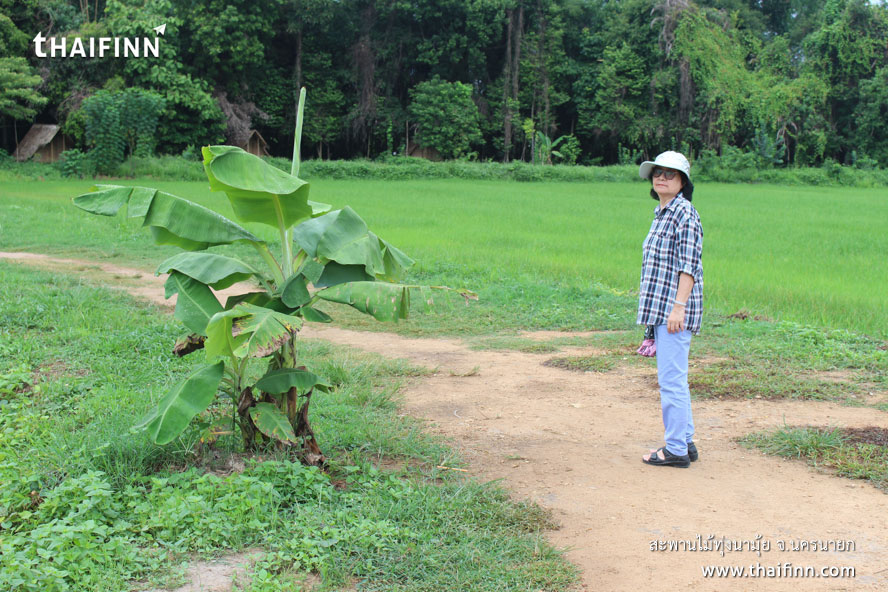 สะพานไม้ทุ่งนามุ้ย จังหวัดนครนายก)
