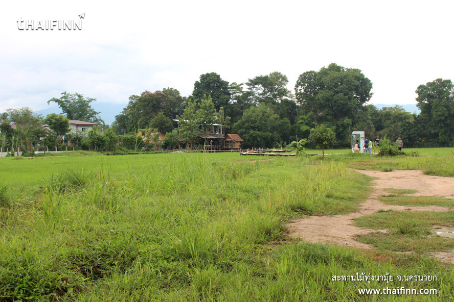 สะพานไม้ทุ่งนามุ้ย จังหวัดนครนายก