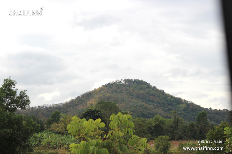 ภูชมลาว จังหวัดเลย)