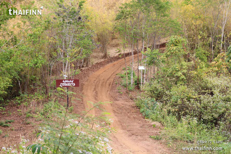 ภูชมลาว จังหวัดเลย)