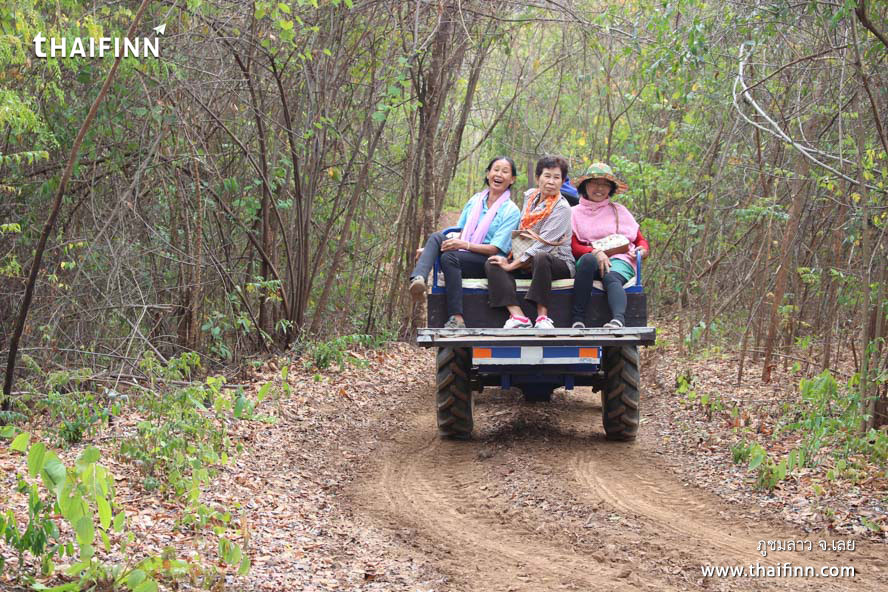 ภูชมลาว จังหวัดเลย