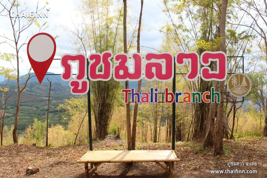 ภูชมลาว จังหวัดเลย