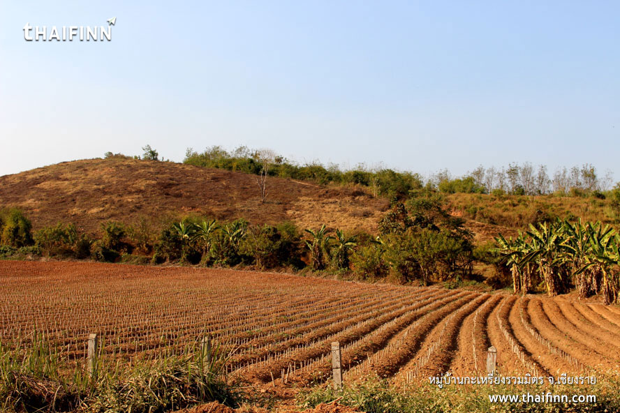 หมู่บ้านกะเหรี่ยงรวมมิตร จังหวัดเชียงราย หมู่บ้านกะเหรี่ยงรวมมิตร จังหวัดเชียงราย)