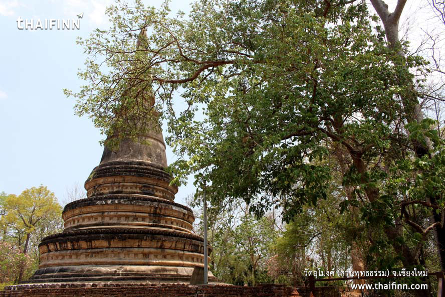 วัดอุโมงค์ (สวนพุทธธรรม) จังหวัดเชียงใหม่ วัดอุโมงค์ (สวนพุทธธรรม) จังหวัดเชียงใหม่