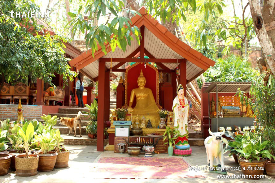 วัดอุโมงค์ (สวนพุทธธรรม) จังหวัดเชียงใหม่ วัดอุโมงค์ (สวนพุทธธรรม) จังหวัดเชียงใหม่)