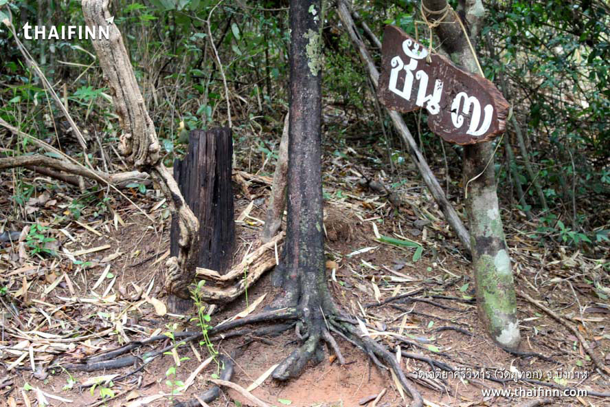 วัดเจติยาคีรีวิหาร (ภูทอก) จังหวัดบึงกาฬ วัดเจติยาคีรีวิหาร (ภูทอก) จังหวัดบึงกาฬ