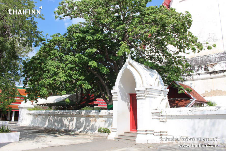 วัดป่าเลไลยก์วรวิหาร จังหวัดสุพรรณบุรี วัดป่าเลไลยก์วรวิหาร จังหวัดสุพรรณบุรี)
